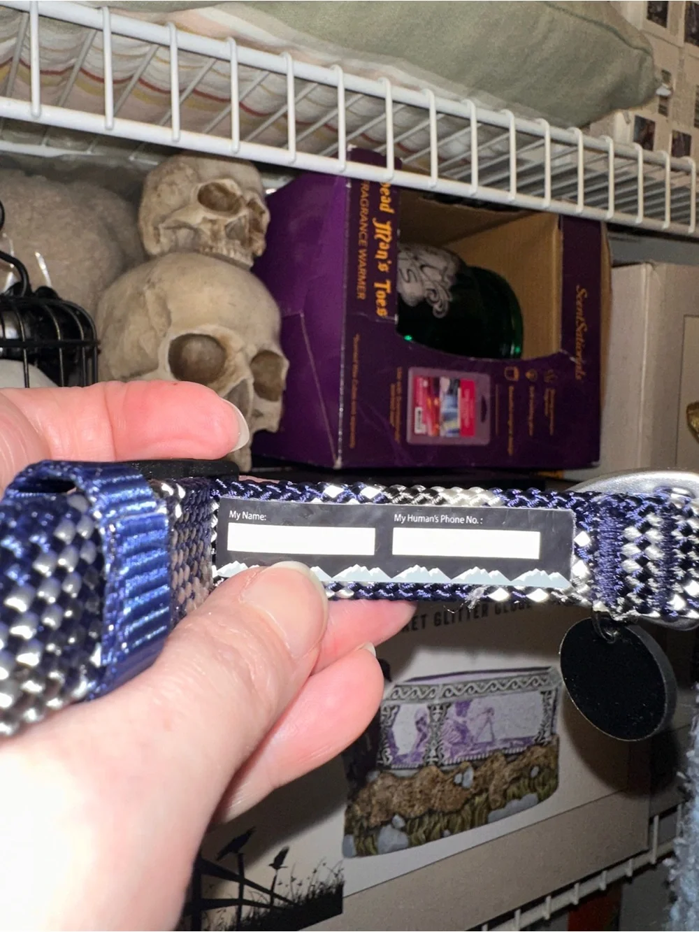 Bundle Of 2 Arcadia Trail Dog Collars 1 Blue and 1 Gray